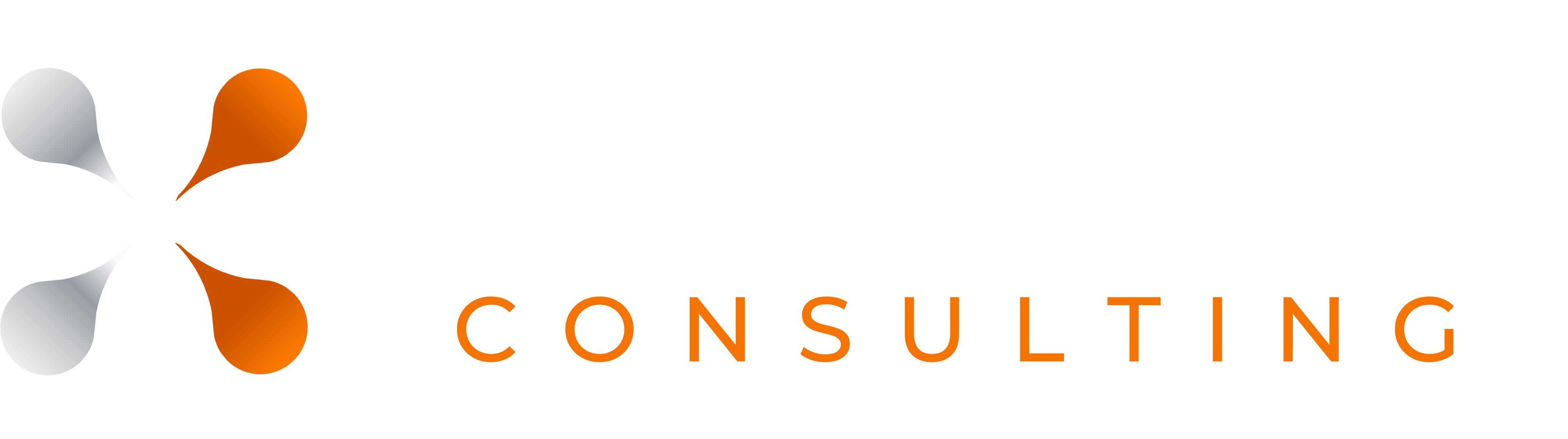 Mc Conner Consulting